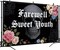 Gothic Skull Backdrop 71 X 43 Inch (Gothic Skull) 71"L x 43"W
